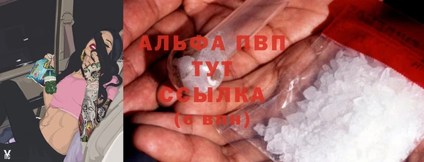эйфоретик Богданович