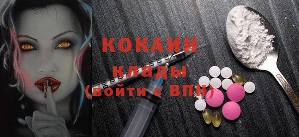 эйфоретик Богданович