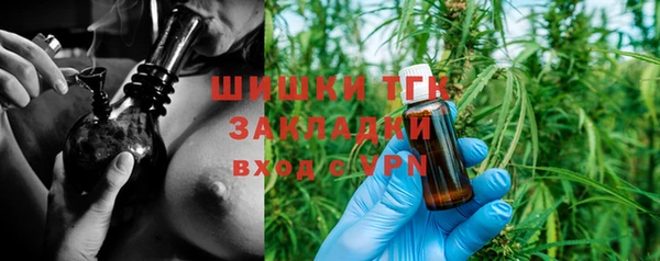 эйфоретик Богданович