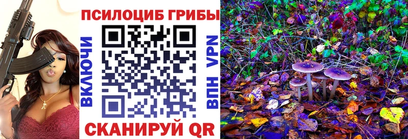 МЕГА как зайти  Балаково  Галлюциногенные грибы прущие грибы 